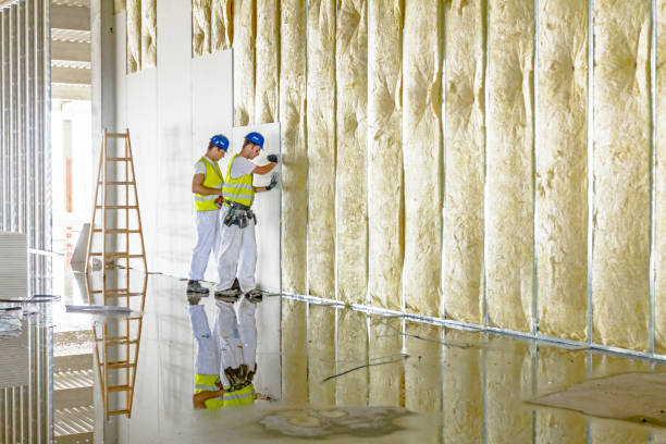 Best Insulation Maintenance and Repair in Morrisville, PA